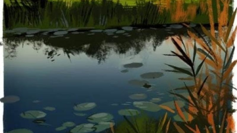 深圳牙科种植牙集采后，价格如何变化？**